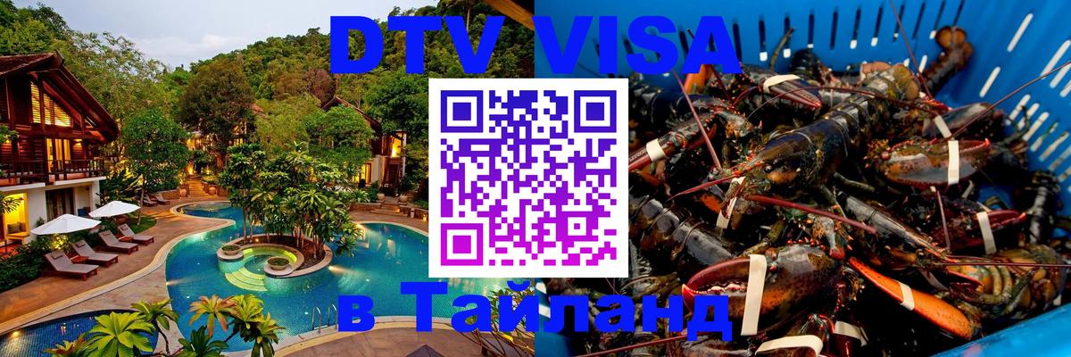Оформление DTV визы под ключ: стоимость и тарифы, только загранпаспорт - 19.11.2025 